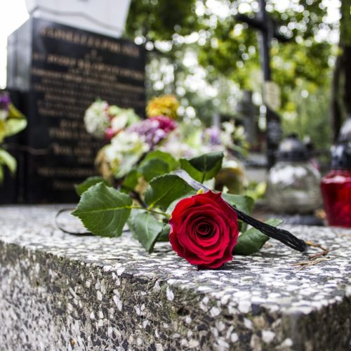 une rose rouge déposé sur le coin d'une pierre tombale