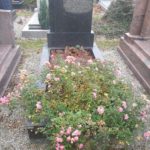 tombe avant le nettoyage, avec la mauvaises herbes qui poussent et les fleurs a enlever