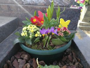 Coupe printanière avec différentes fleurs, primevère, crocus, jonquilles, tulipes.. pour Eternel Jardin