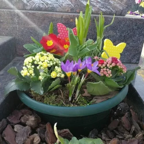 coupe de plantes fleurie printannière