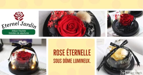 Collection roses éternelles. Bulle de rose "féerique", lumineuse contenant une rose éternelle de 8 cm sous une cloche en verre surmonté d'un cœur. Un cadeau digne d'un conte de fée... Véritable rose éternelle et fleurs séché, sous un dôme lumineux.