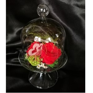 Rose éternelle rouge, cloche sur pied