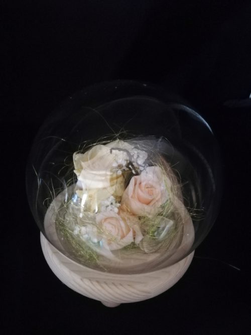 3 Roses éternelles crème, globe boule en verre et socle en bois