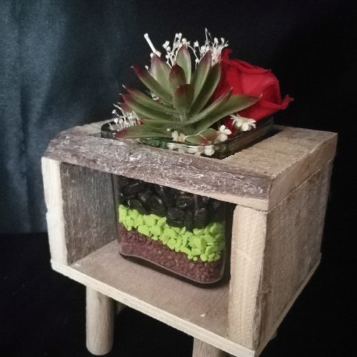 1 Rose éternelle rouge et succulente, sur socle en bois et contenant en verre