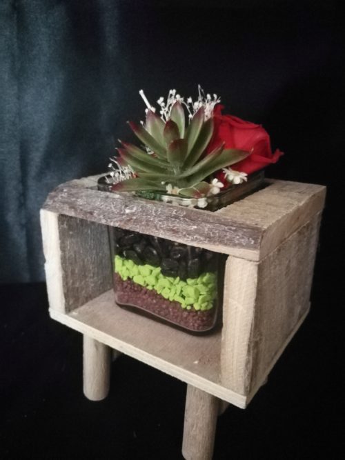 1 Rose éternelle rouge et succulente, sur socle en bois et contenant en verre