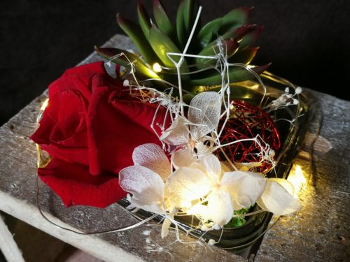 1 Rose éternelle rouge et succulente, sur socle en bois et contenant en verre