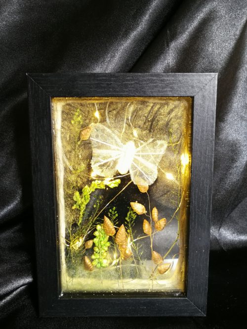 Cadre noir, tableau papillon lumineux