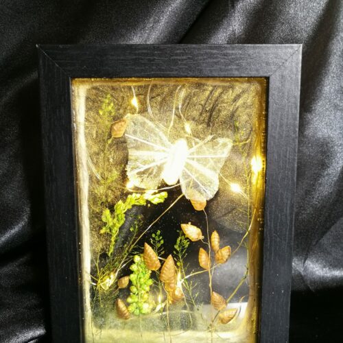 Cadre noir, tableau papillon lumineux