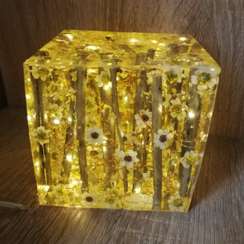 Lampe cube nature