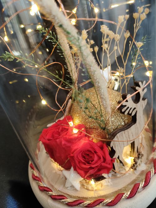 Rose éternelle rouge, sous un dôme de Noël lumineux. – Image 3