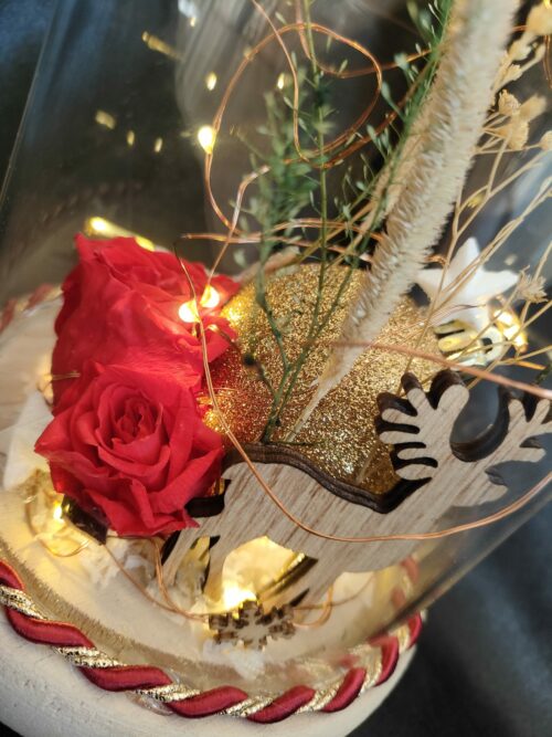 Rose éternelle rouge, sous un dôme de Noël lumineux. – Image 2