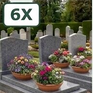 Régulier 6x/an  nettoyage & fleurissement