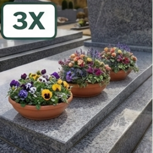 Saisonnier 3x/an nettoyage & fleurissement